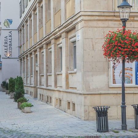 Downtown Pedestrian Zone Apartment ブラチスラヴァ エクステリア 写真